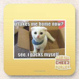 Porta-copo Você me leva para casa agora?