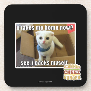 Porta-copo Você me leva para casa agora?