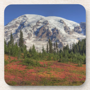 Porta-copo WA, Parque Nacional Mt. Rainier, Vale do Paraíso