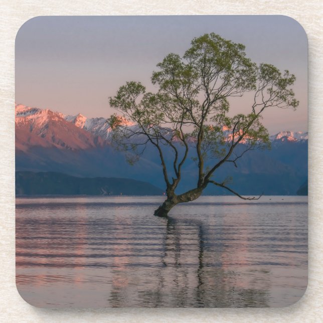 Porta-copo Wanaka Tree, Portas copos da Nova Zelândia (Frente)