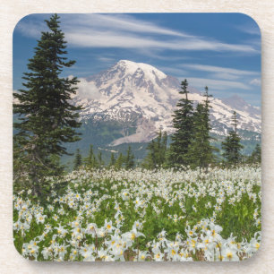 Porta-copo Washington, Parque Nacional Mount Rainier 1