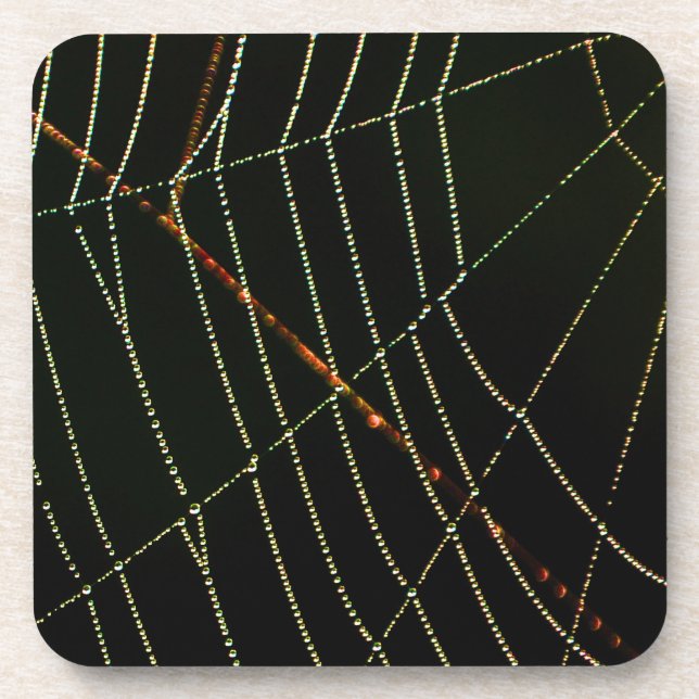 Porta-copo Web Spider (Frente)