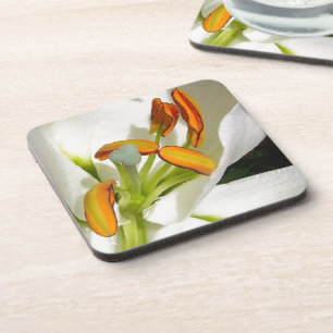 Porta-copo White Lily