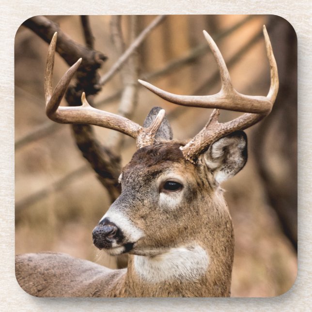 Porta-copo White Tail Deer Buck (Frente)