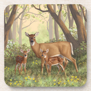 Porta-copo Whitetail Deer e Cute Twin Fawns em Primavera