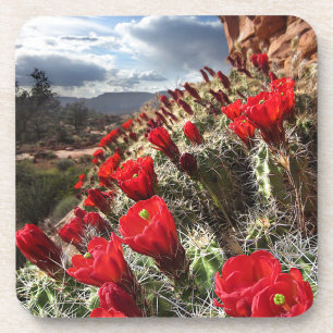 Porta-copo Wildflowers - Grand Canyon - arizona