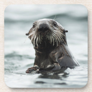 Porta-copo Wise Otter