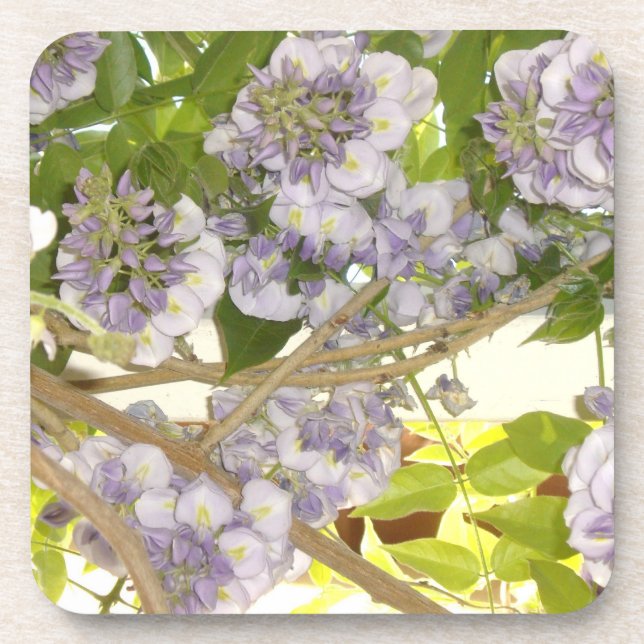 Porta-copo Wisteria (Frente)