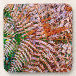 Porta-copo Woodland Ferns
