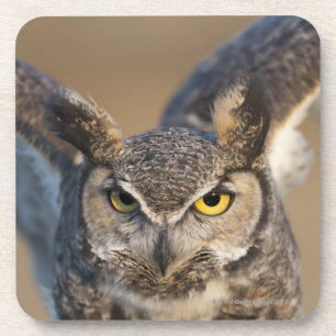 Porta-copo Wyoming, EUA