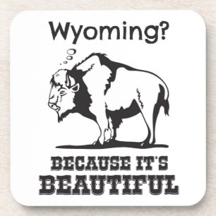Porta-copo Wyoming? Porque é lindo
