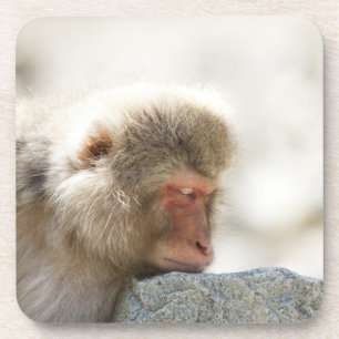 Porta-copo Yamanouchi, Chubu, Nagano, Japão