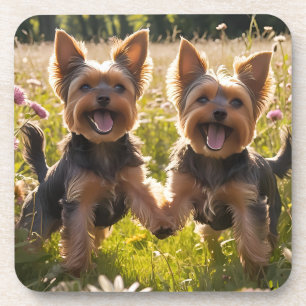 Porta-copo Yorkshire Terriers jogando na grama