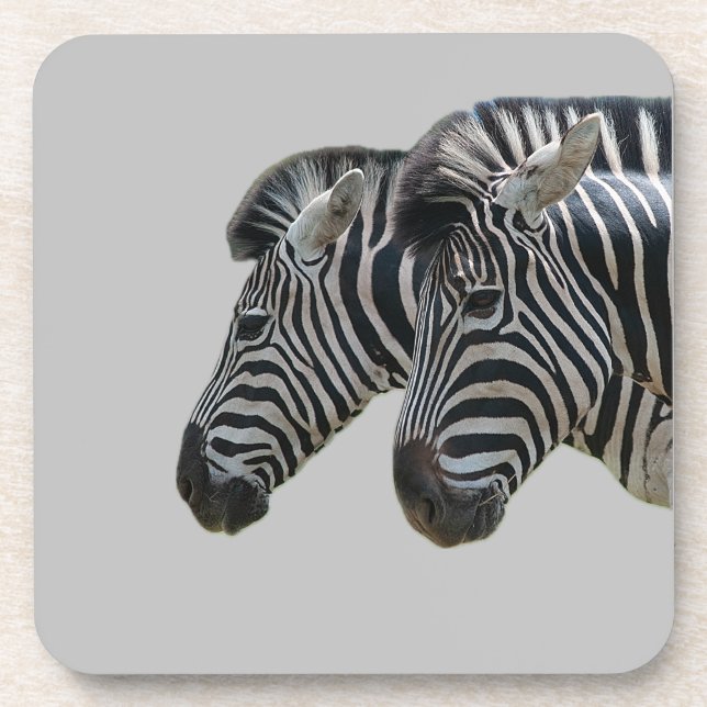 Porta-copo Zebra (Frente)
