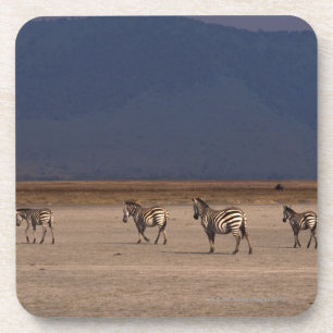 Porta-copo Zebra de Grant