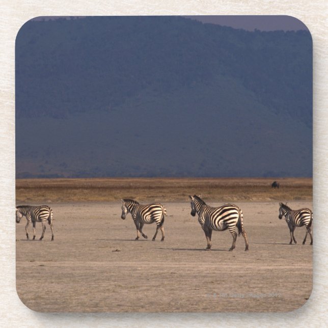 Porta-copo Zebra de Grant (Frente)