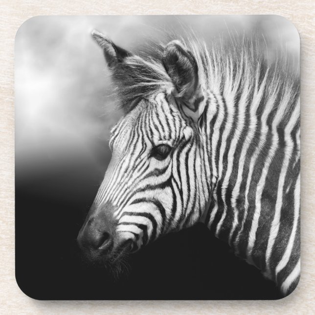 Porta-copo Zebra Foal (Frente)