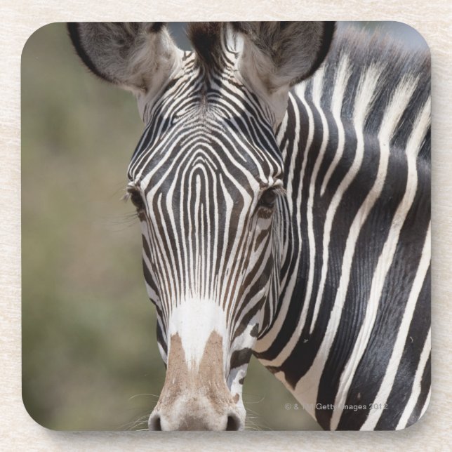 Porta-copo Zebra, Kenya, África (Frente)