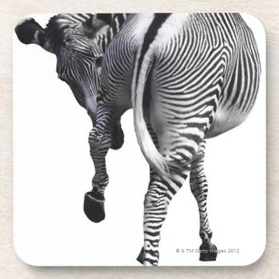 Porta-copo Zebra que gira ao redor