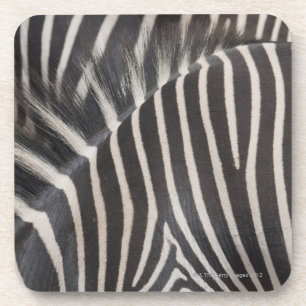 Porta-copo Zebras