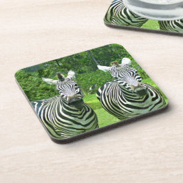 Porta-copo Zebras no Prado Pausam