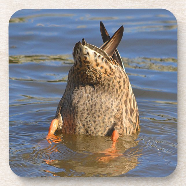 Porta copos (Frente)