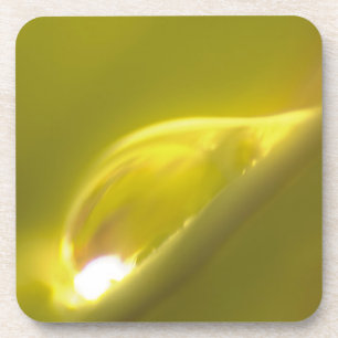 Porta copos 3 de Cortiça de Água