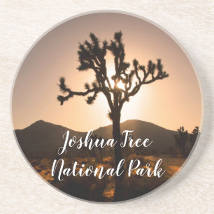 Porta-copos A noite começa em Joshua Tree 