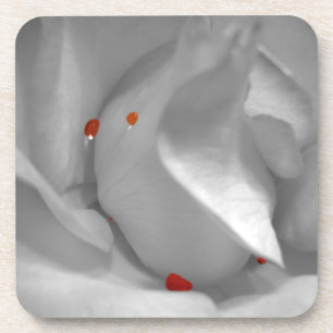 Porta copos Aeolian Watercolor Cork