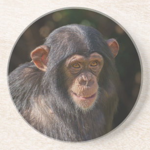 Porta-copos Alma Brincalhona – Close-up de Bebê Chimpanzé
