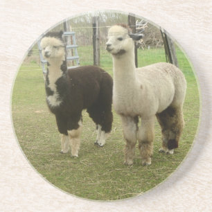 Porta-copos Alpaca Duo