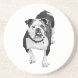 Porta-copos Amigo de Inverno, Apoio de Copo Bulldog
