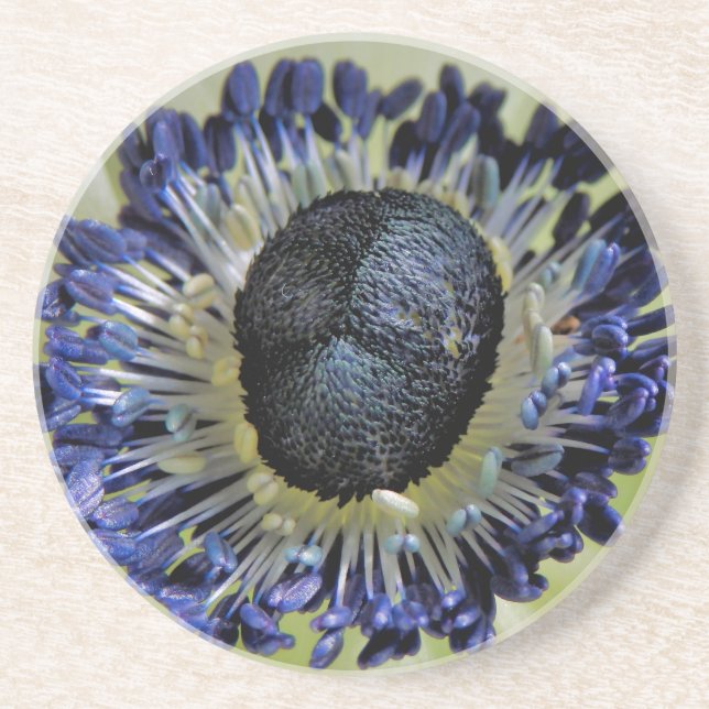 Porta-copos Anemone Mistral Panda (Frente)