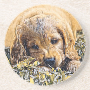 Porta-copos AnimalMix_Dog_005