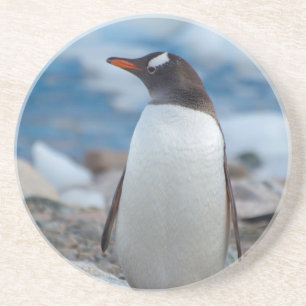 Porta-copos Antártida. Neko Harbor. Pinguim-gentoo