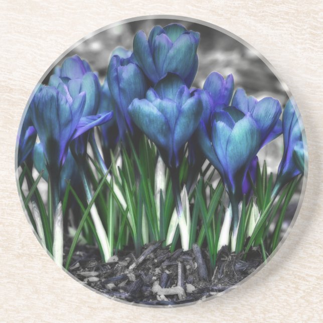 Porta-copos Aqua Blue Crocus Blooms (Frente)