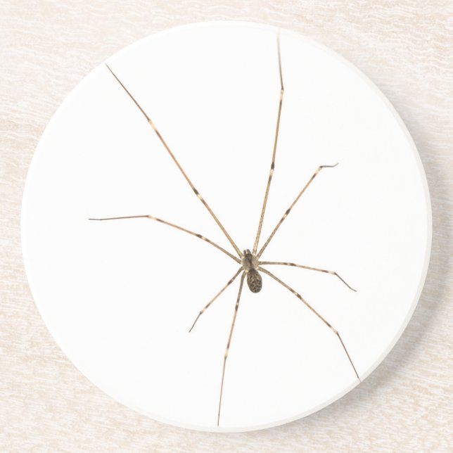 Porta-copos Aranha (Frente)