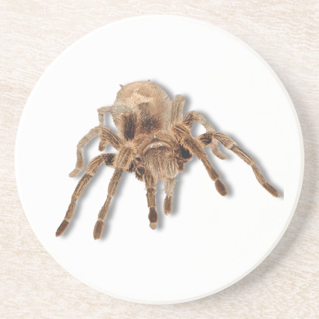 Porta-copos Aranha do Tarantula (Frente)