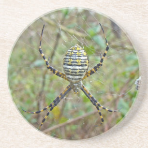 Porta-copos Aranha do tecelão da esfera do trifasciata do