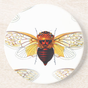 Porta-copos art bee hibiscusgarde