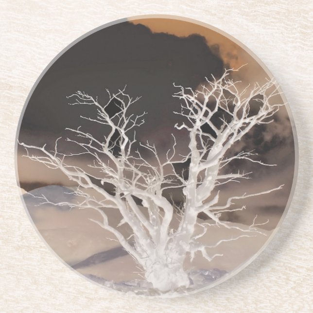 PORTA-COPOS ÁRVORE DO INVERNO (Frente)