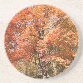Porta-copos Árvores Laranja