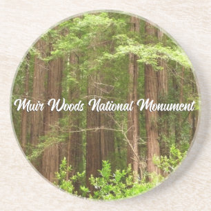 Porta-copos Árvores Redwood no Monumento Nacional Muir Woods