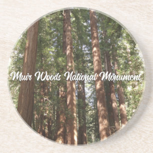 Porta-copos Até Redwoods II no Monumento Nacional Muir Woods