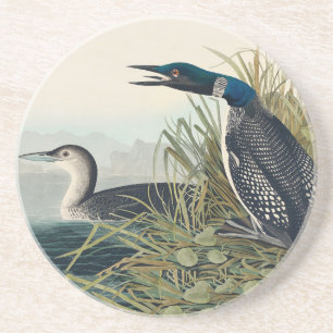 Porta-copos Audubon Bird Loon Diver Classic