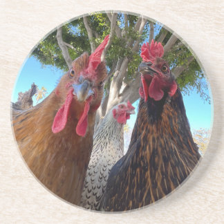 Porta-copos Aves com Atitude Suporte de Arenito