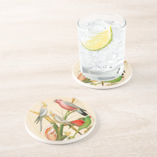 Porta-copos Aves Vintage- periquitos, aves tropicais