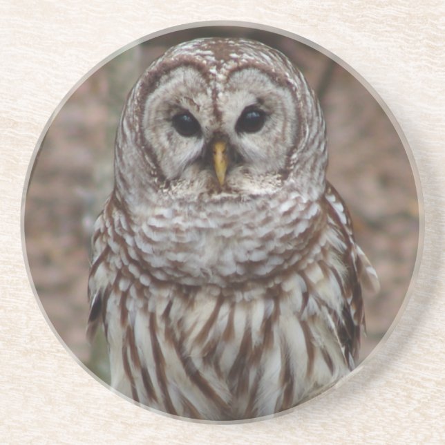 Porta-copos Barred Owl (Frente)