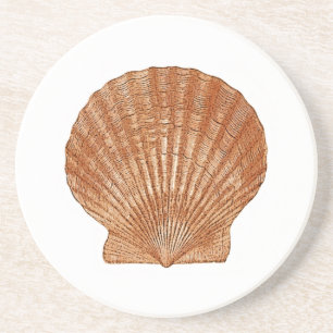 Porta-copos Bay Scallop Shell