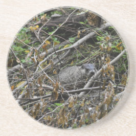 Porta-copos Beaver Ocupado